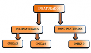 Clasificación de los ácidos grasos insaturados omega 3